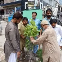 Green Seekers Activity